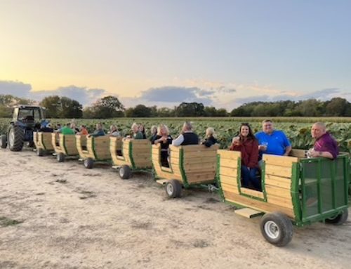 Tractor Rides